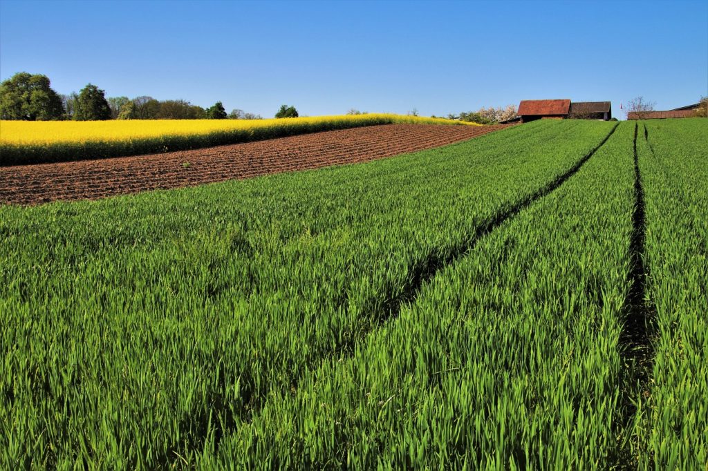 La Géobiologie pour une Agriculture Durable et Naturelle