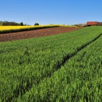 La Géobiologie pour une Agriculture Durable et Naturelle